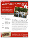 Waggle Newsletter Thumbnail