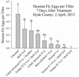 Cover photo for Should You Spray for Hessian Fly?