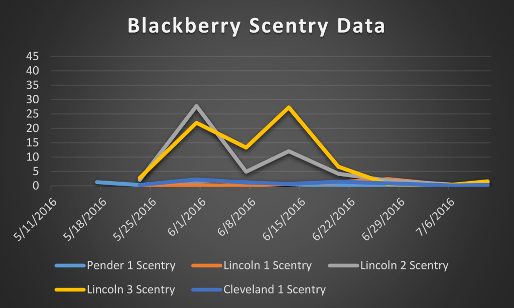 2016 blackberry scentry data