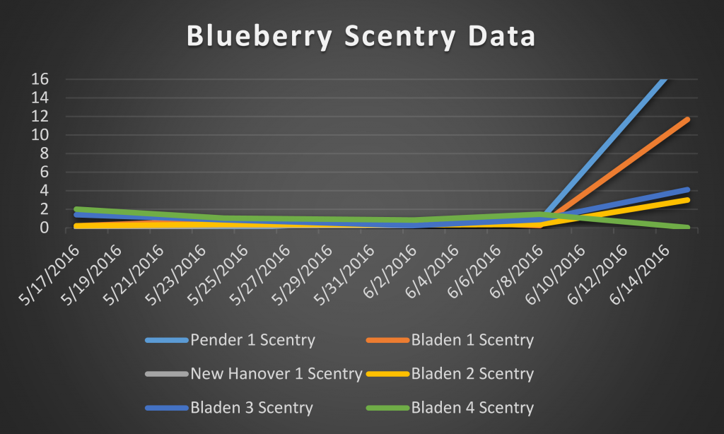 2016 blueberry scentry data