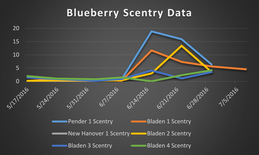 2016 blueberry scentry data