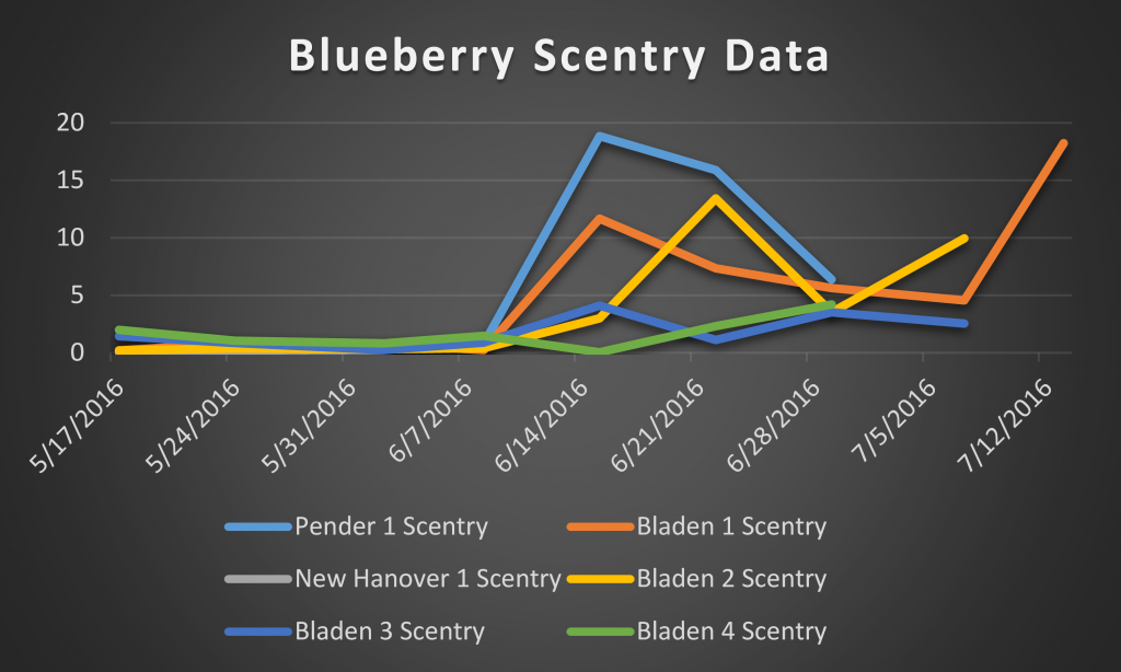 2016 blueberry scentry data