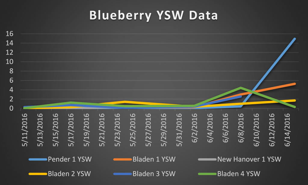 2016 blueberry YSW data