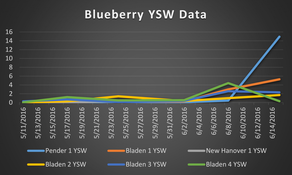 2016 blueberry ysw data