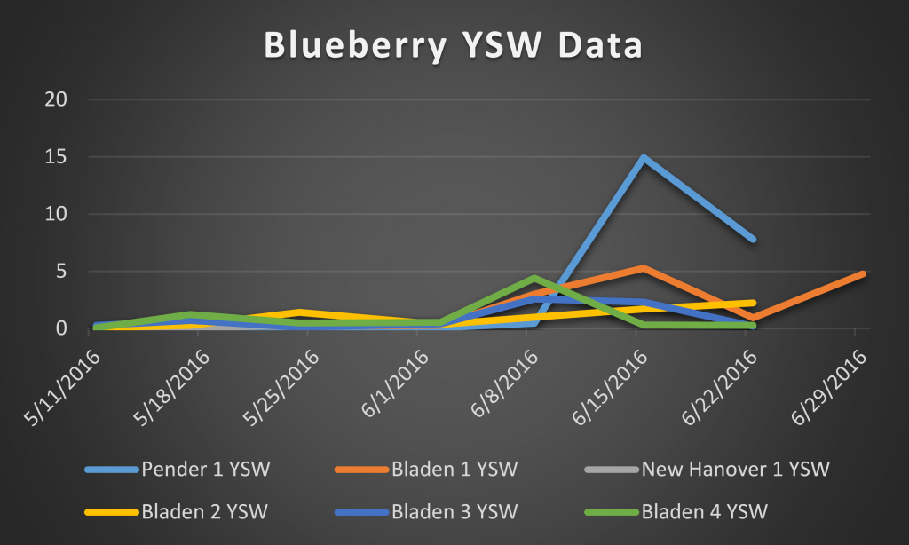 2016 blueberry ysw data