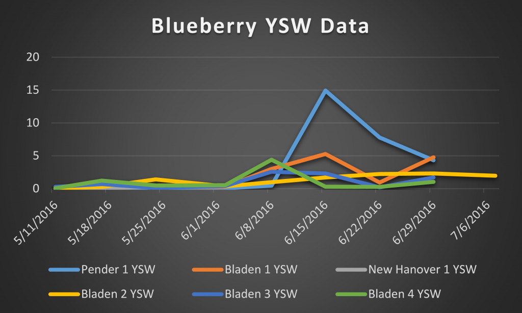 2016 blueberry ysw data