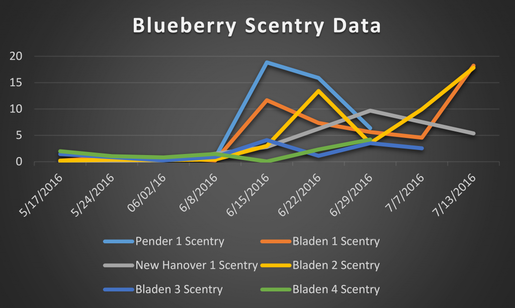 2016 blueberry scentry data