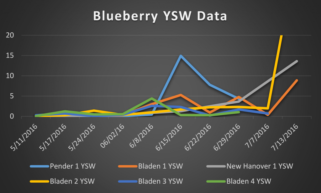 2016 blueberry ysw data