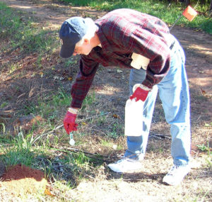 applying fire ant bait around a mound