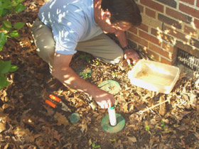 Advance Termite Bait Station Monitoring Wood Insert