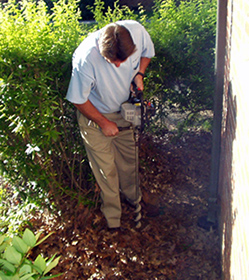 Termite Baiting Systems