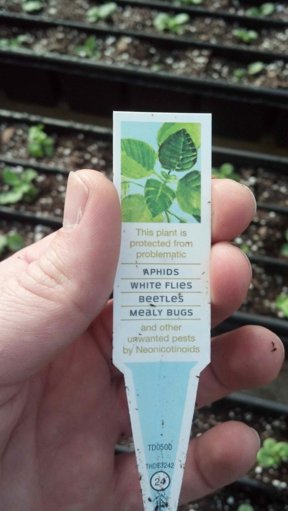 Plant tag indicating a plant has been treated with neonicotinoids. Photo: SDF