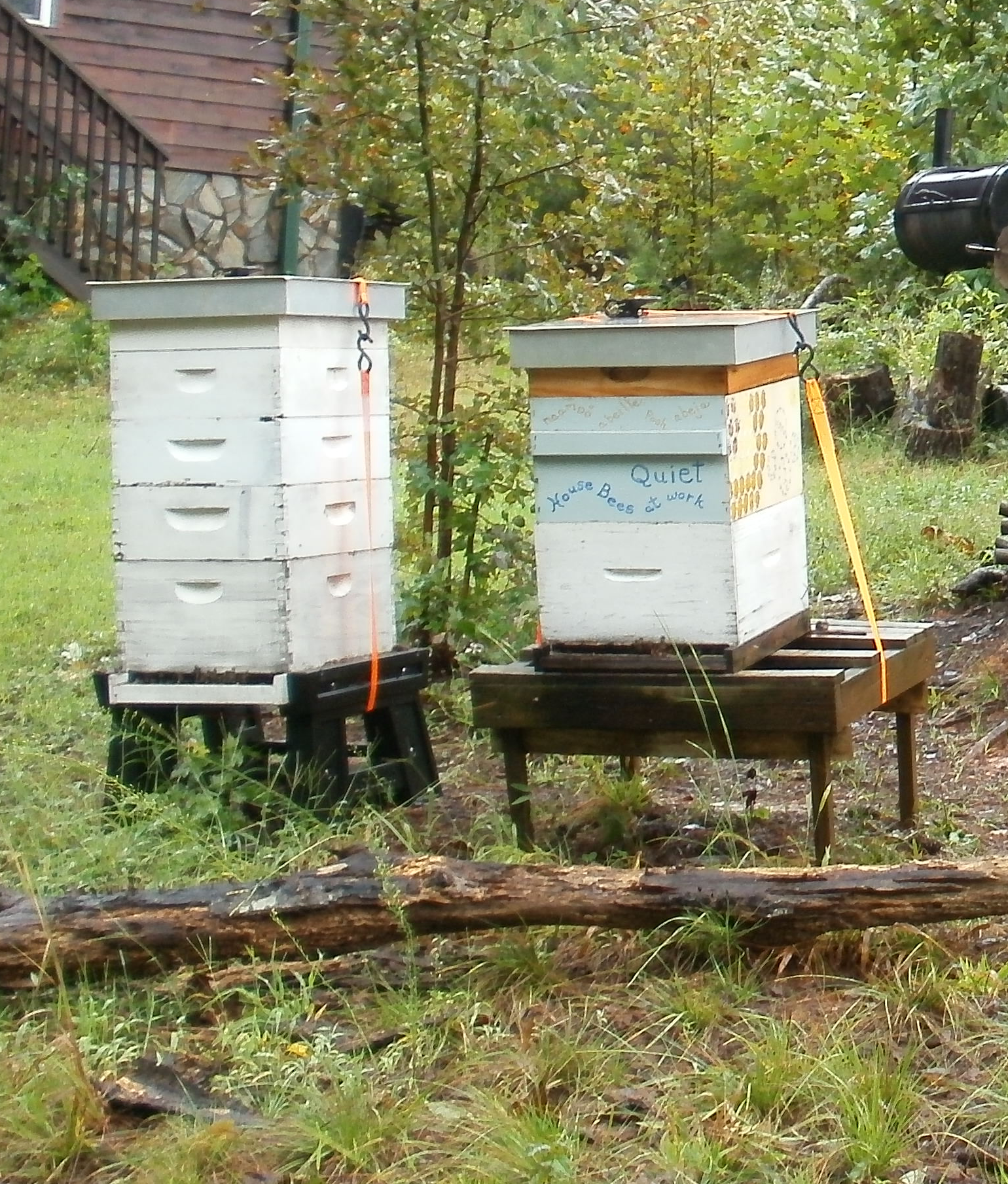 beehives secured with ratchet straps