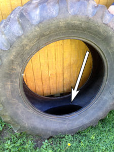 tire leaning against an outdoor shed and collecting rain water