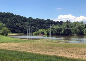 Flood fields next to the French Broad River in Mills River, NC (Photo courtesy of S. Villani, NCSU)