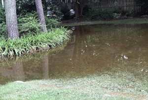 Front yard of home flooded by heavy rain