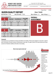 Grade report