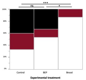 Experimental treatment chart